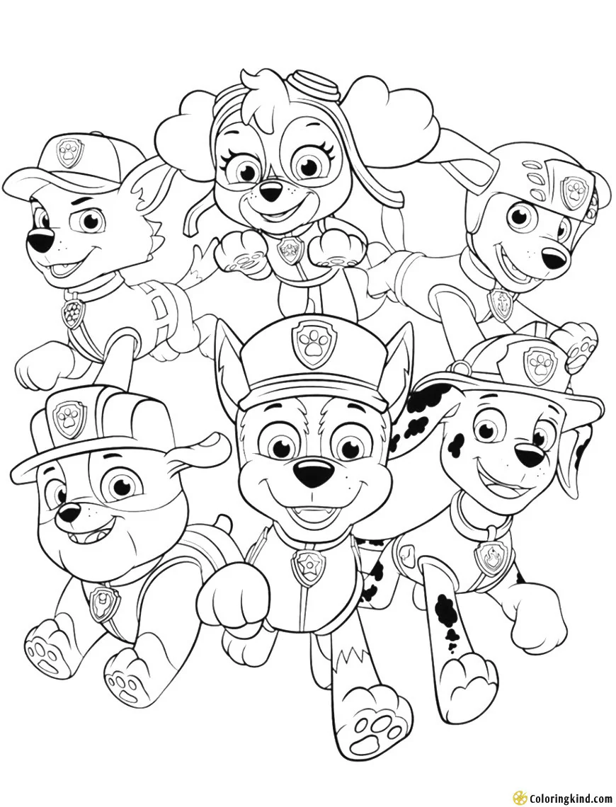 Paw Patrol Heroes Portrait