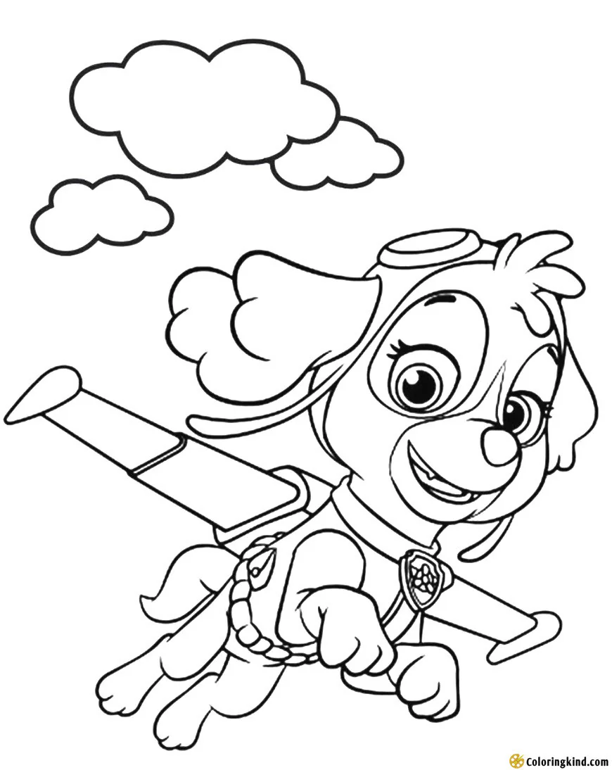 Paw Patrol Hero Flys With His Wings