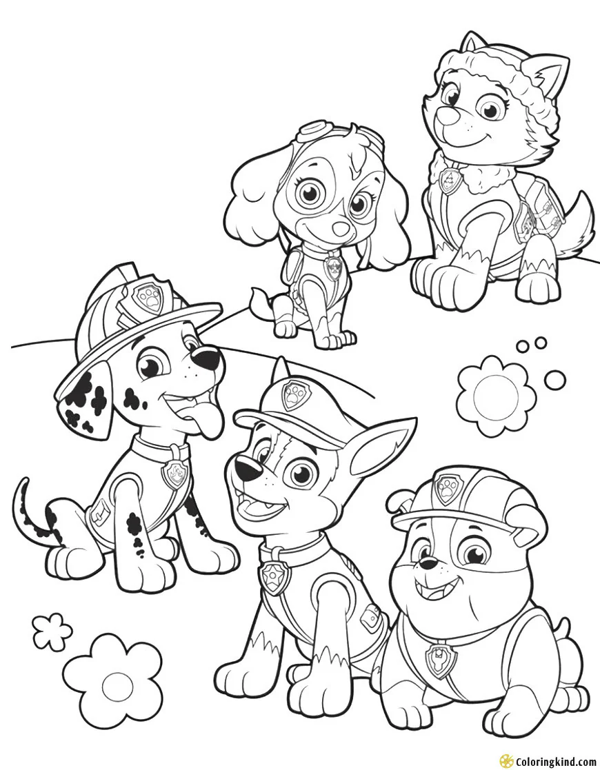 Paw Patrol Dog Team Coloring