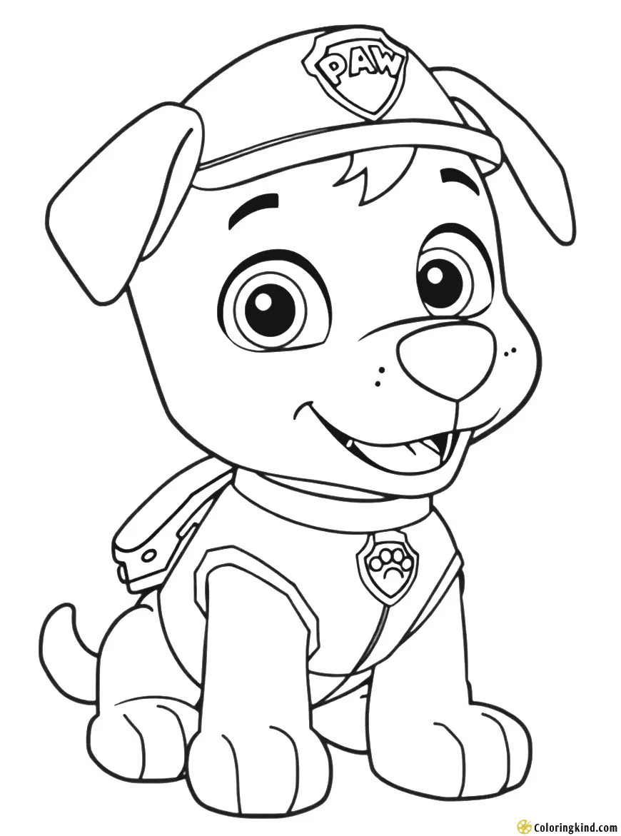 Prepare the Pens for Our Cute Canine Friend