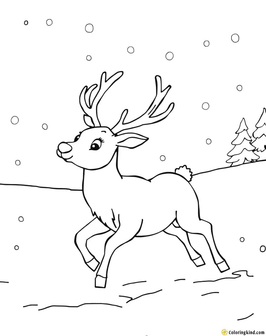Reindeer playing in the snow on Christmas day