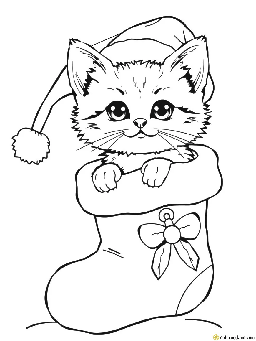 Christmas kitten in a stocking