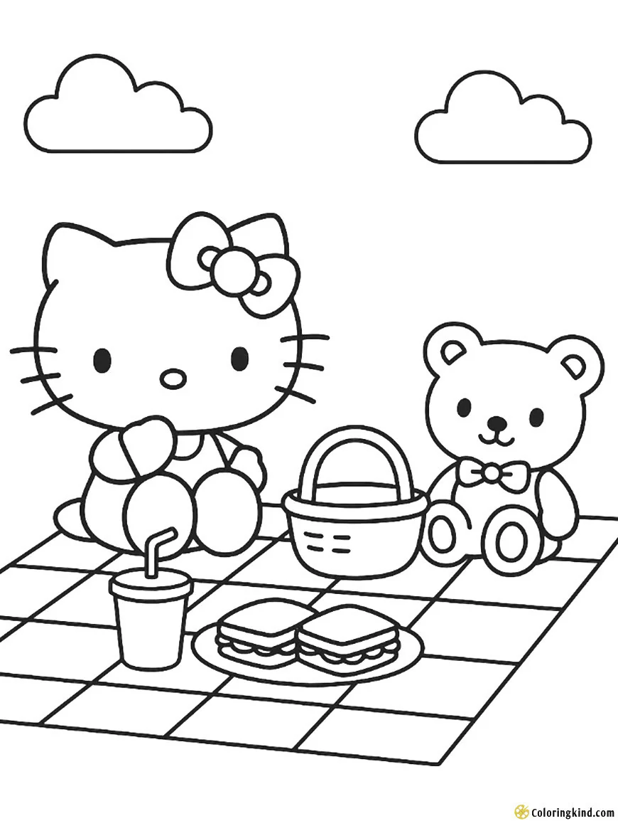 Hello Kitty having a picnic with her teddy bear