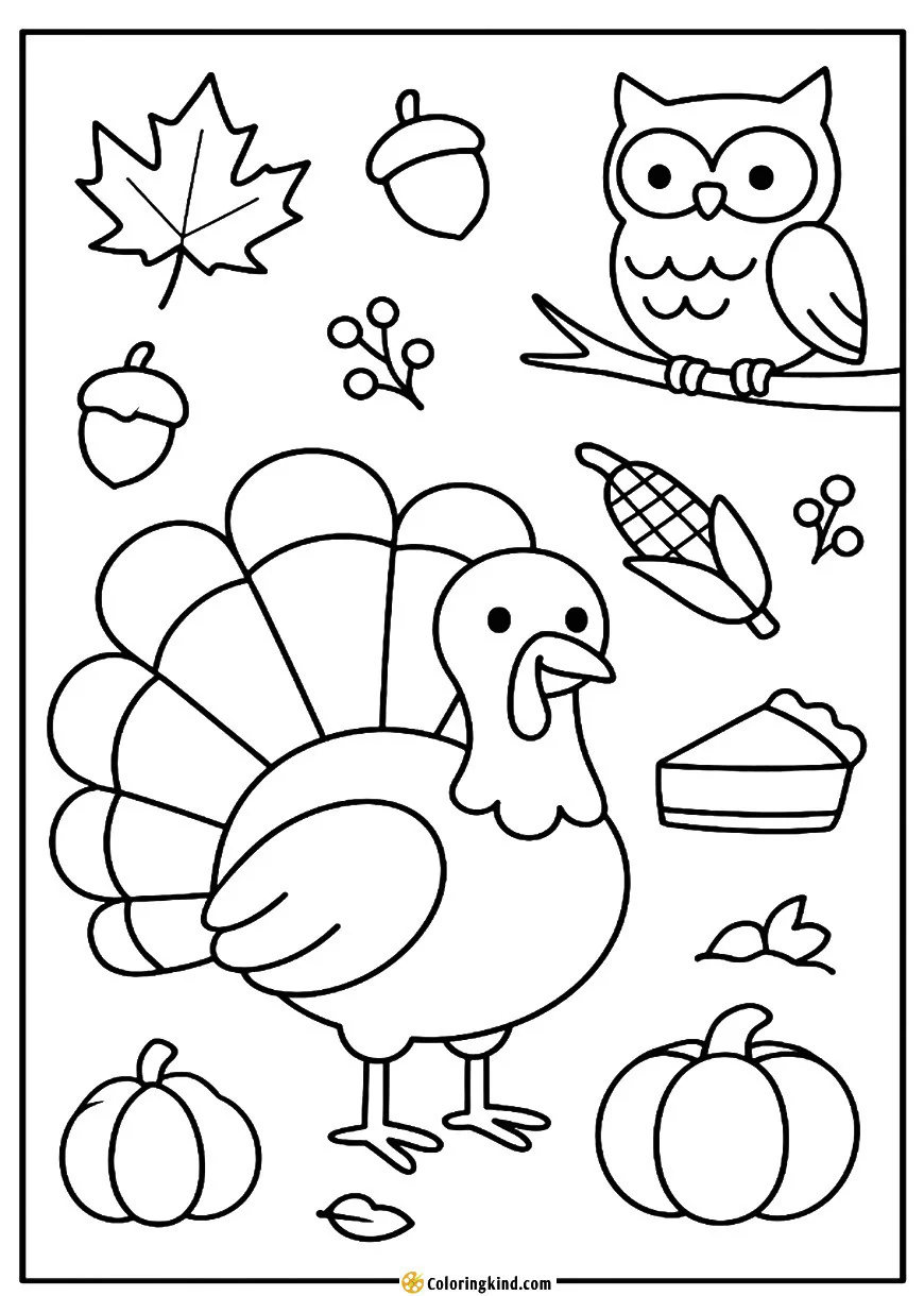 Turkey with Friendly Owl Perched Nearby