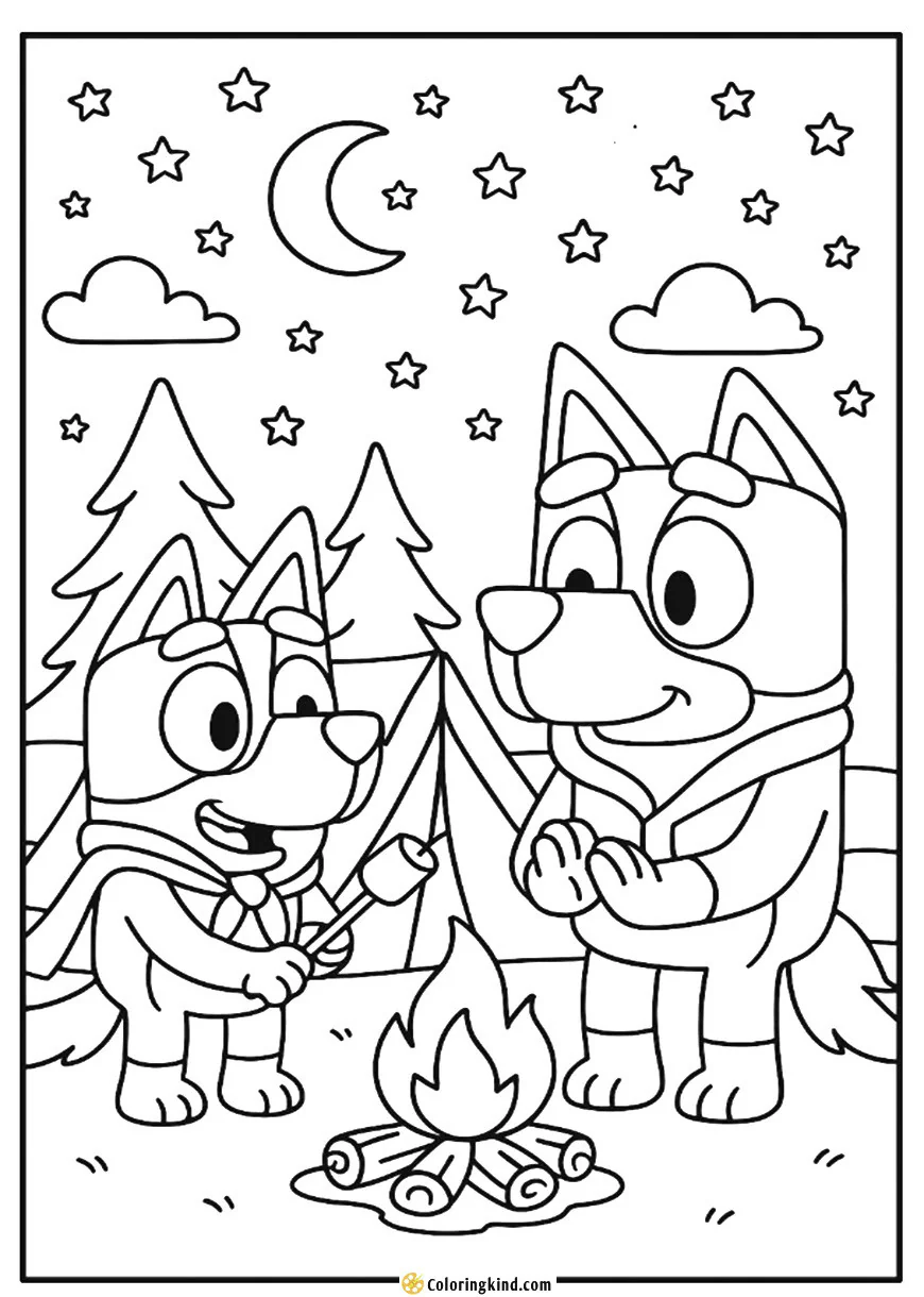 Bluey and Bandit Camping Under the Stars