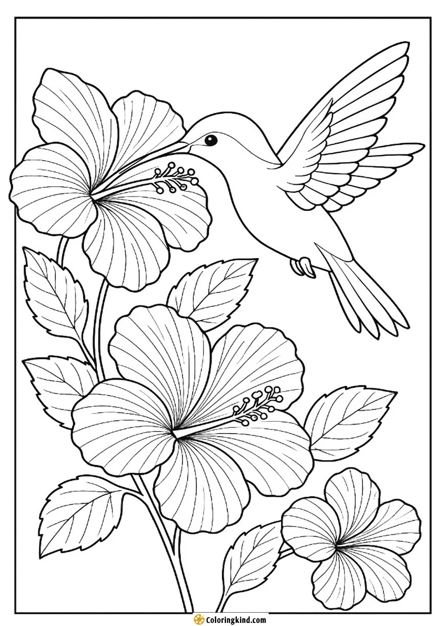 A hummingbird pauses, beak dipped in a hibiscus bloom