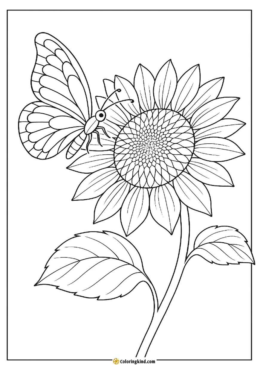 A bright butterfly alights on the face of a sunflower