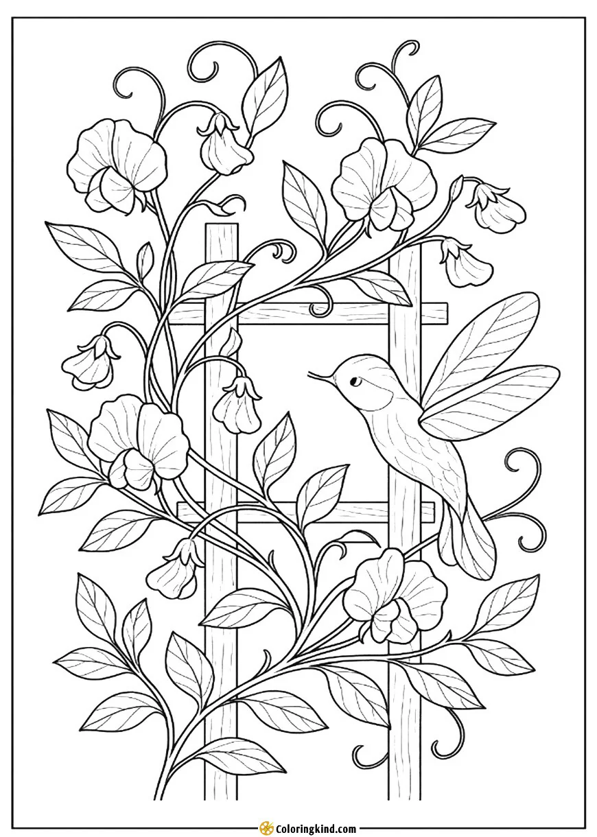 Sweet peas spiral around a charming garden trellis