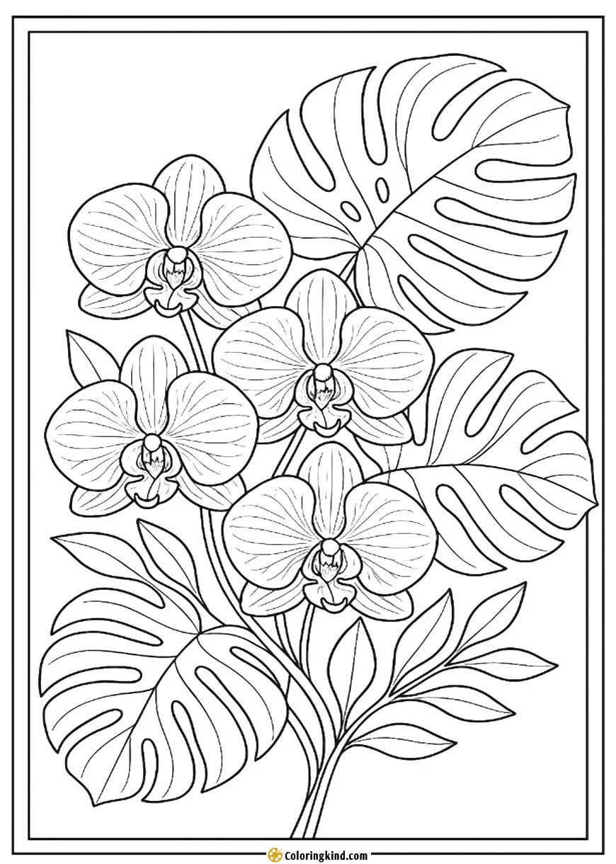 Monstera leaves crinkle behind a cluster of graceful orchids