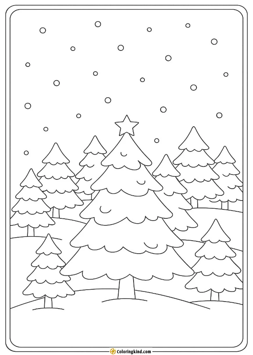 Snowfall over a Christmas Tree Farm