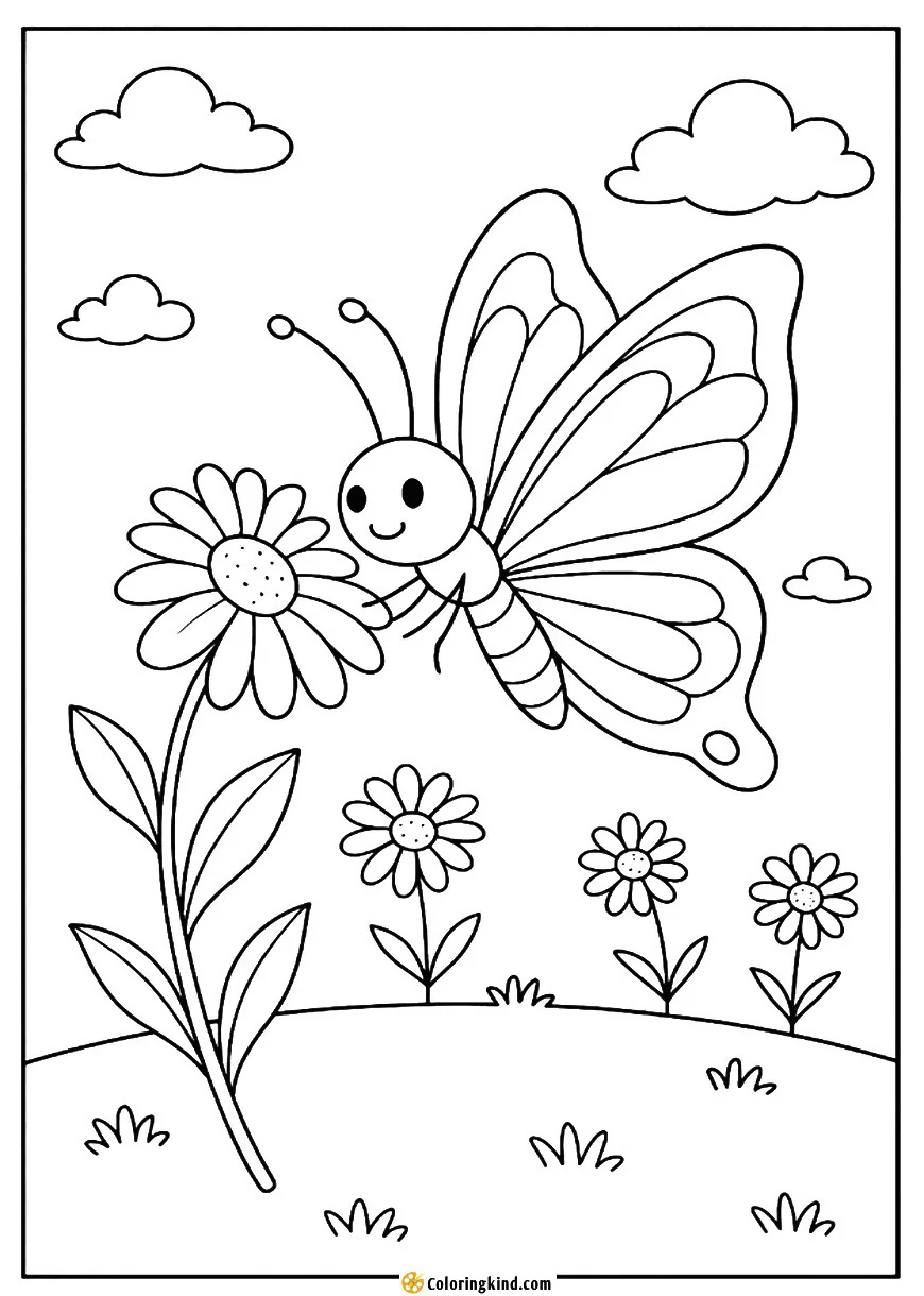 Butterfly Landing on a Daisy