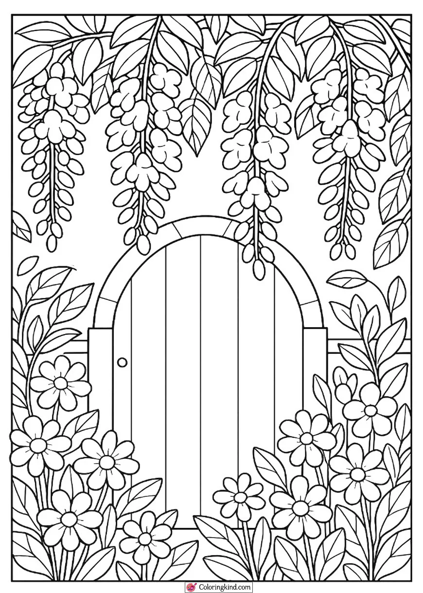 Blooming Wisteria Hanging Over a Gate