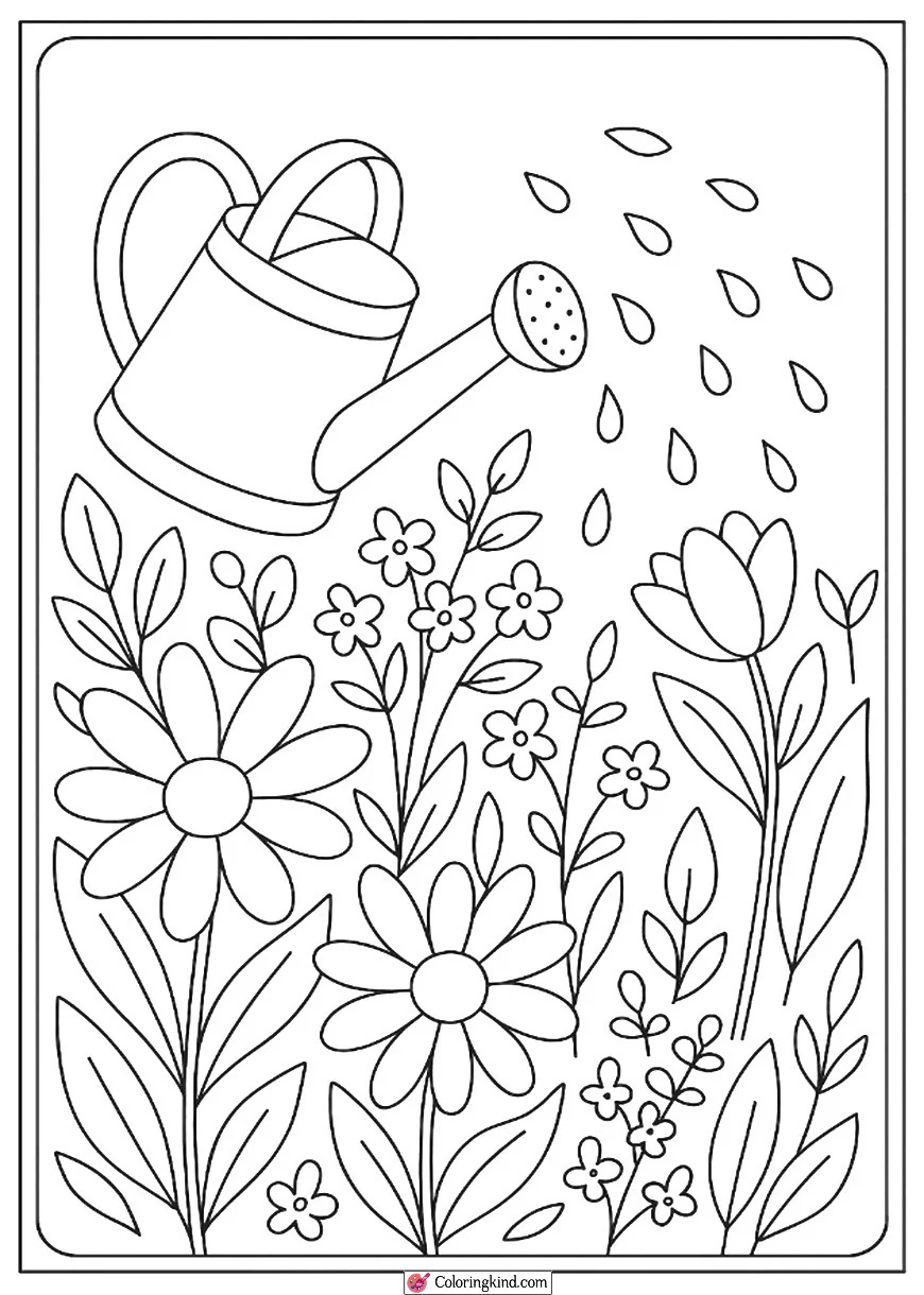 Watering Can Sprinkling Garden Plants