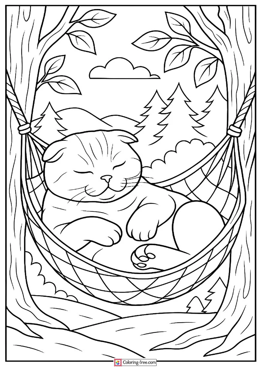 Scottish Fold Sleeping in a Hammock