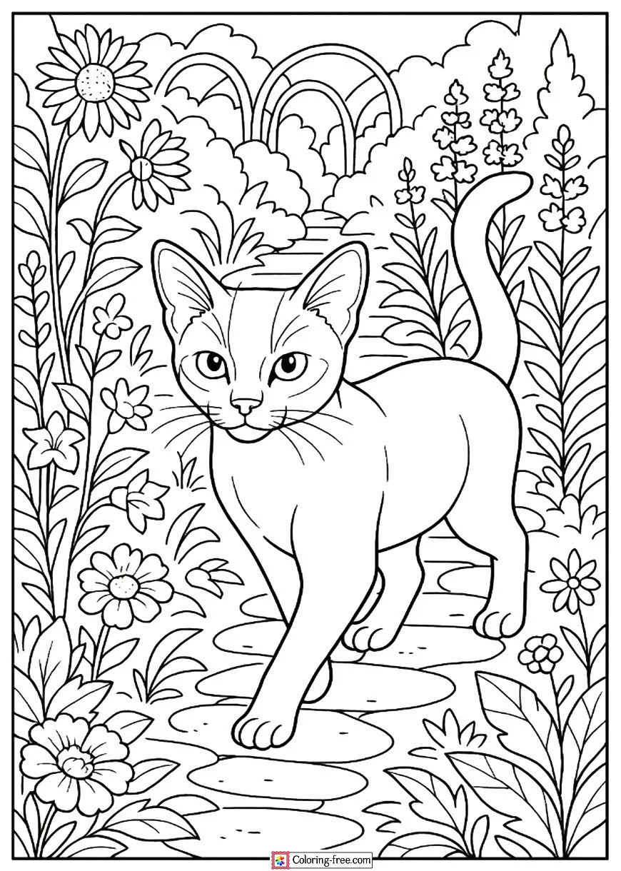 Abyssinian Cat Exploring a Garden Path