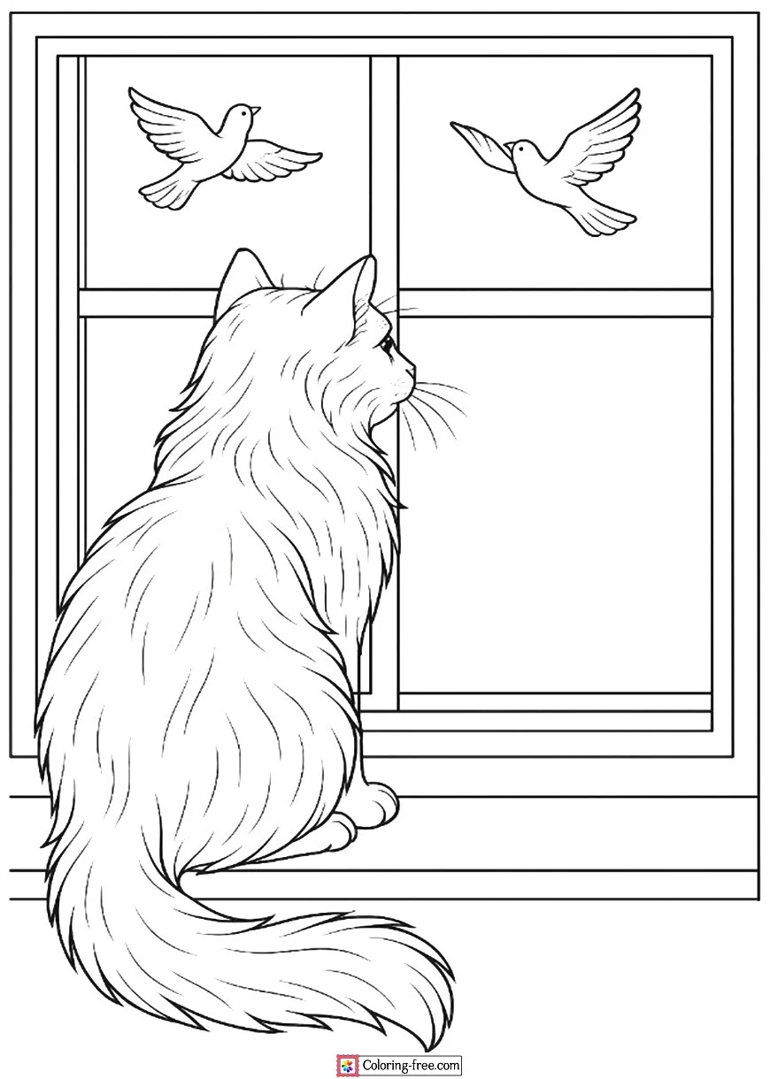 Cat Watching Birds Through a Window