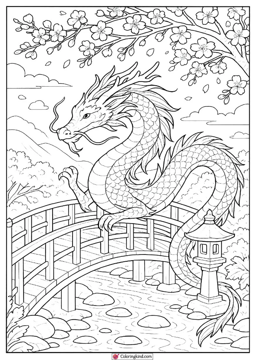 Cherry Blossom Bridge and Graceful Dragon