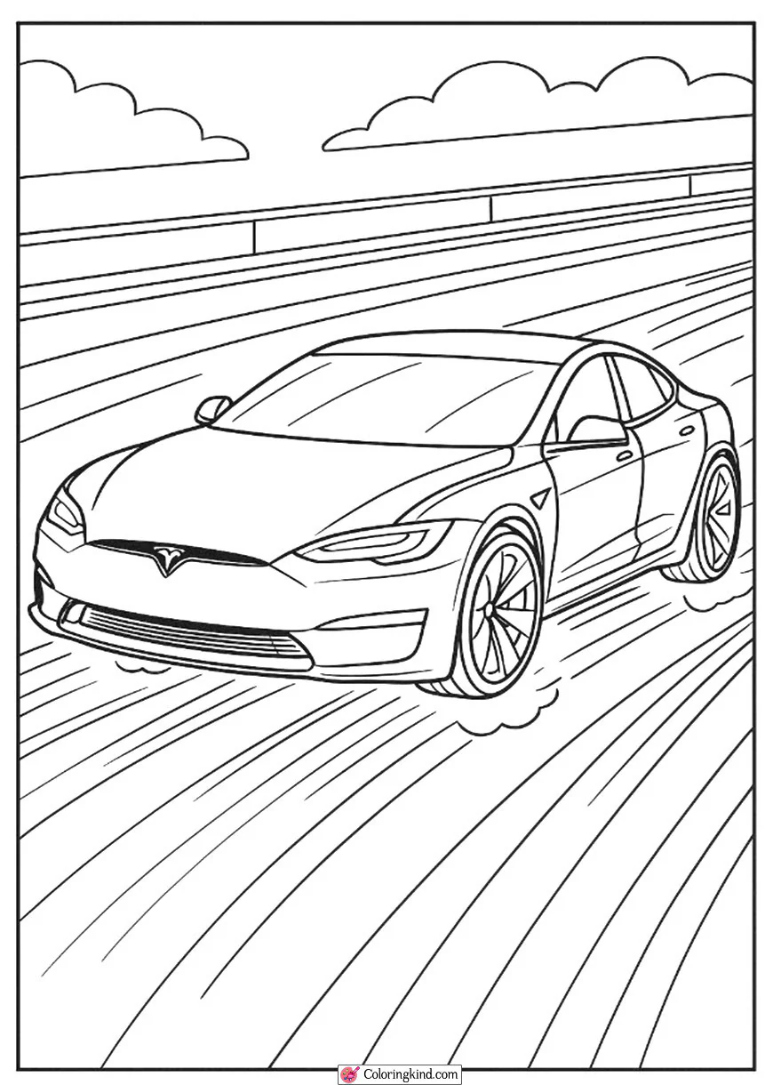 Tesla Model S Plaid Racing Scene