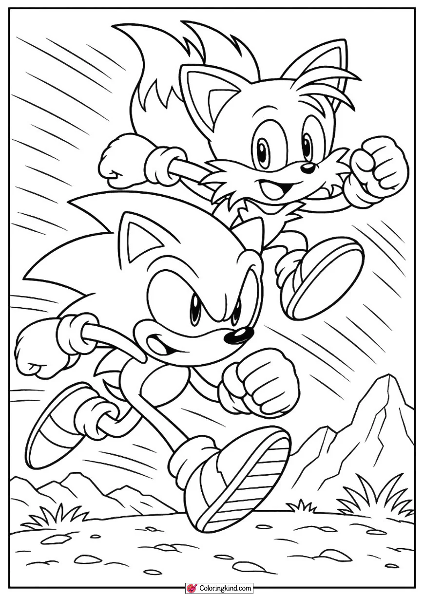 Sonic and Tails in a Team Speed Run