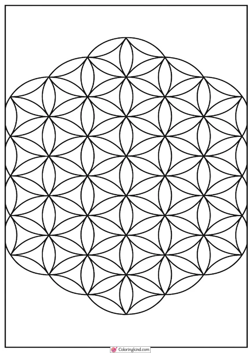 Sacred Geometry Flower of Life Mandala