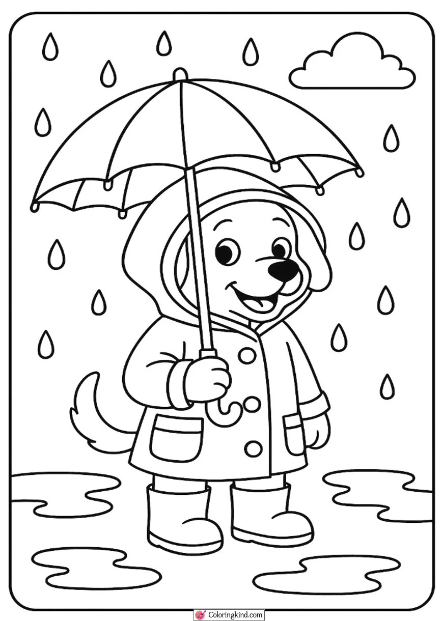Puppy in a Raincoat with Umbrella