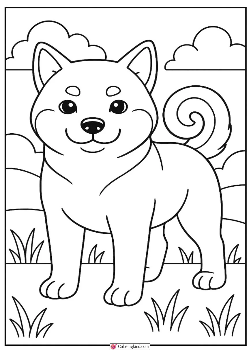 Shiba Inu with a Curly Tail