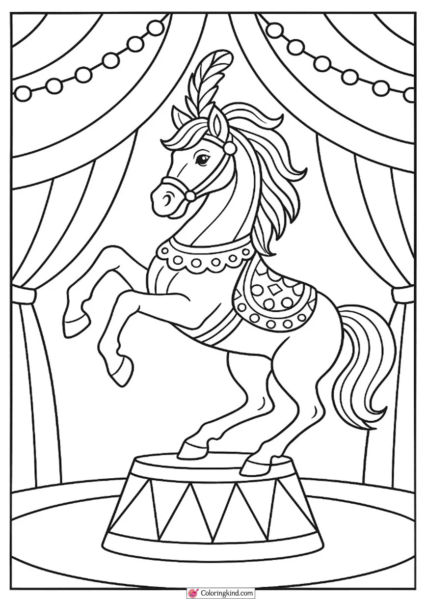 Circus Horse Performing Tricks