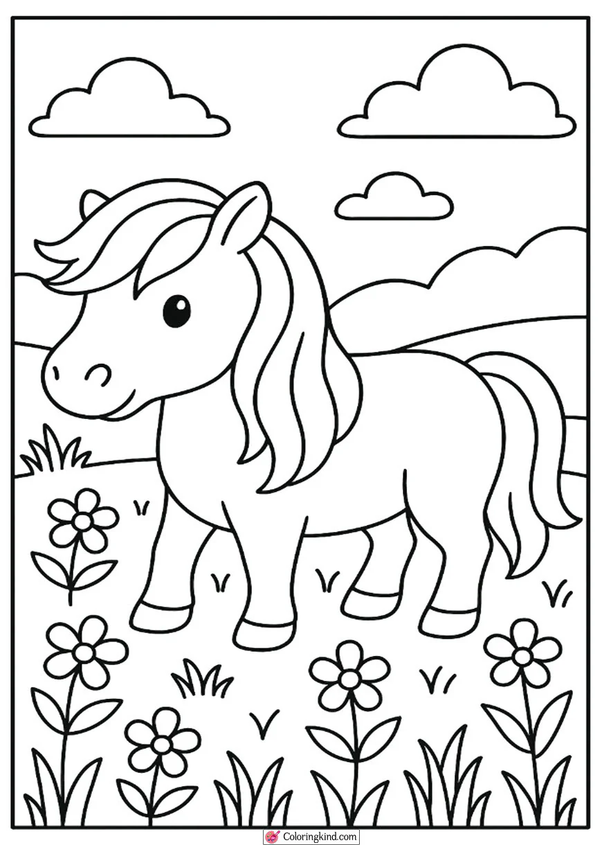 Shetland Pony in Meadow