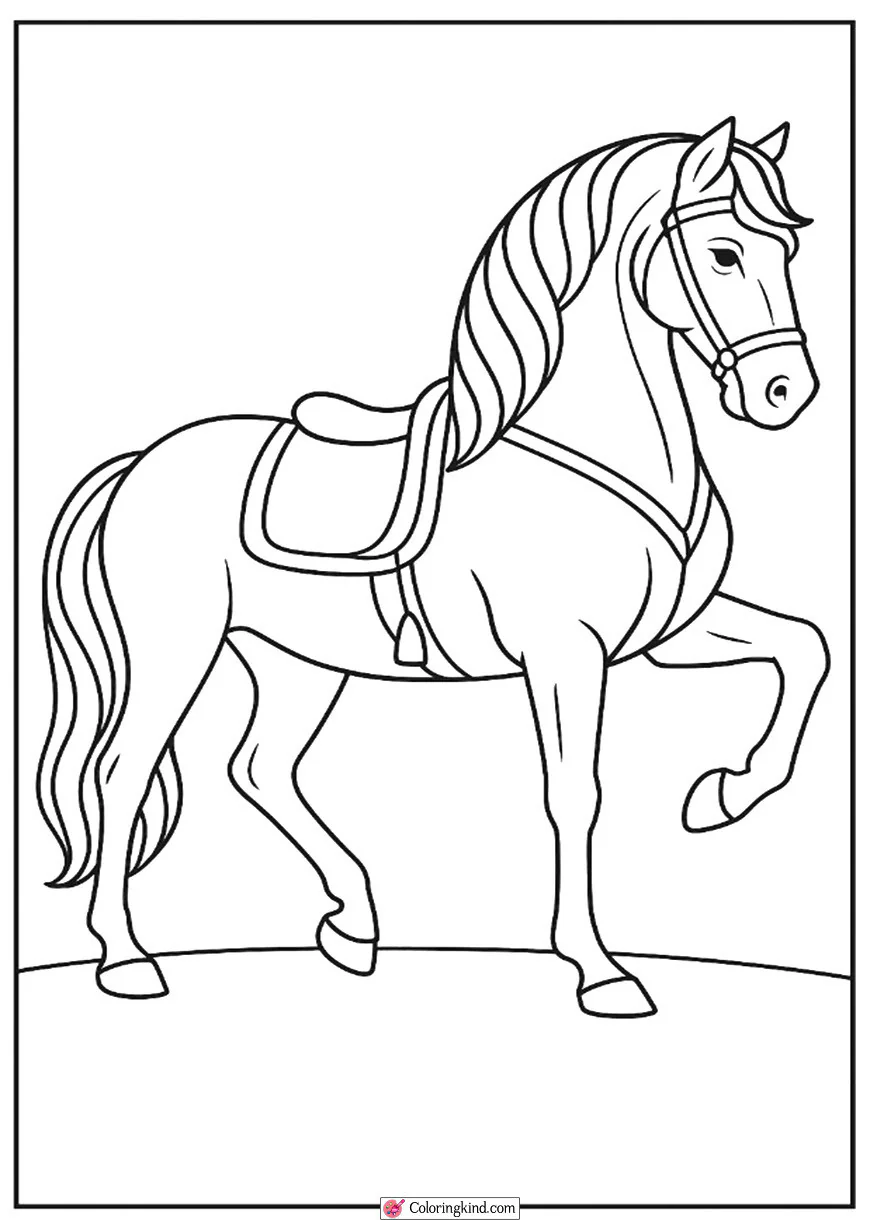 Andalusian Horse in Dressage Pose