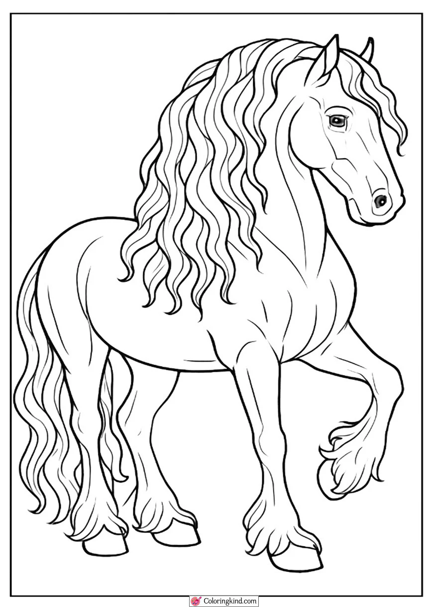 Friesian Horse with Flowing Hair