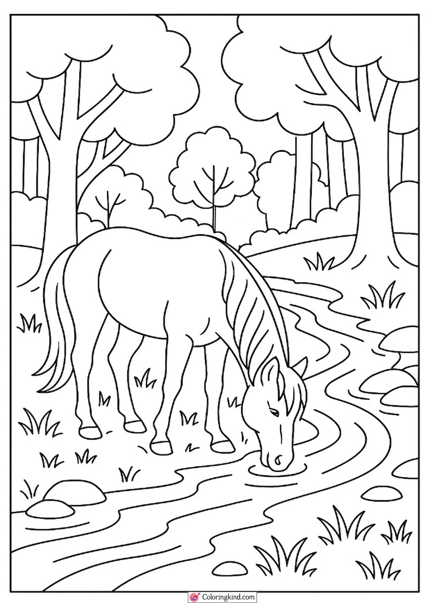Horse Drinking from a Forest Stream