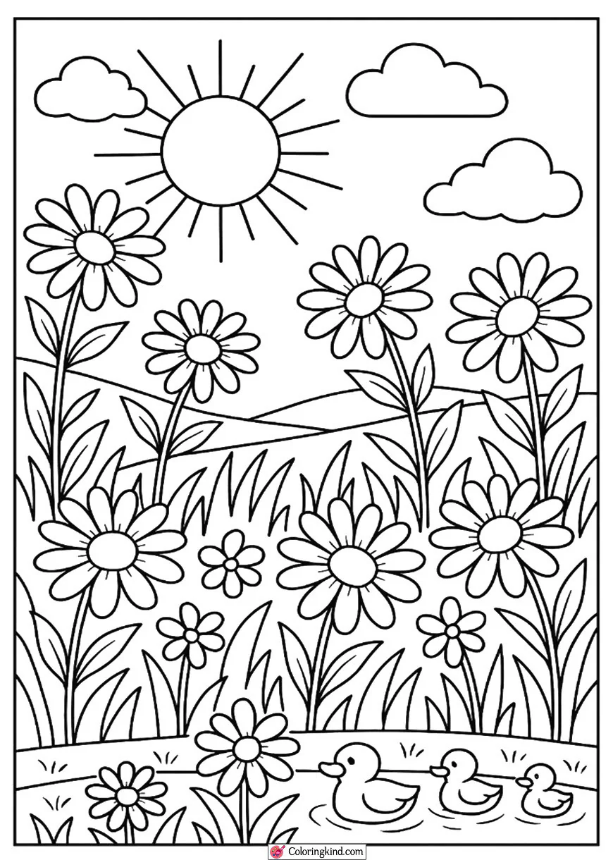 Daisies in a Sunny Meadow