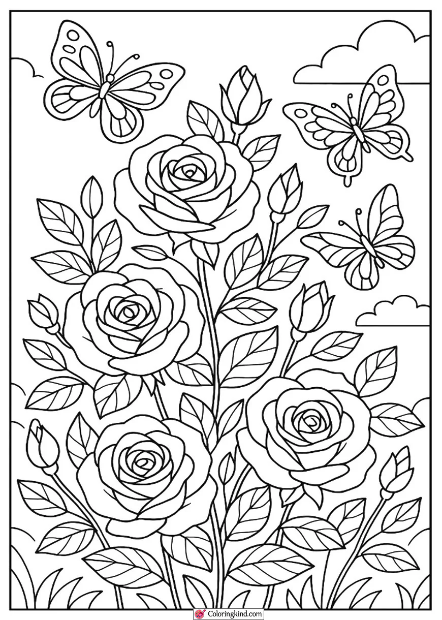 Roses with Spring Butterflies