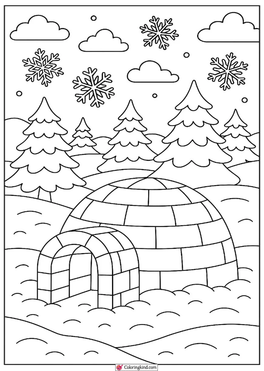 Igloo in the Snow Field