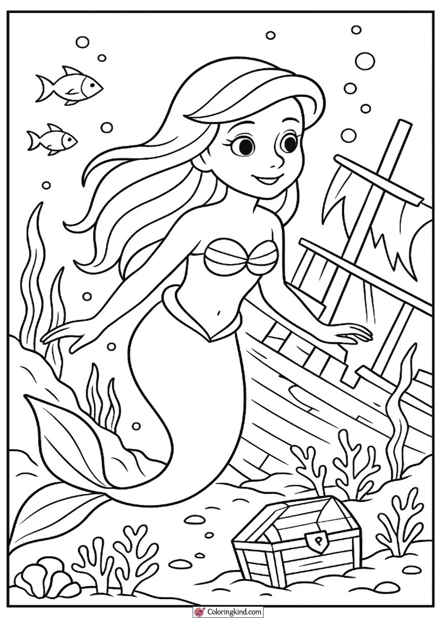 Ariel Exploring a Shipwreck