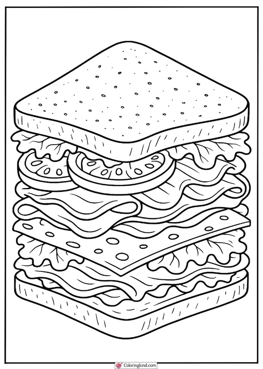 Sandwich with Layers