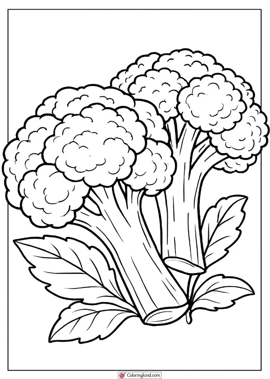 Healthy Broccoli and Cauliflower