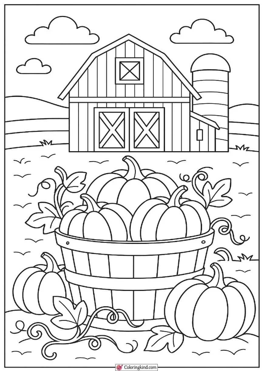 Basket of Pumpkins by the Barn