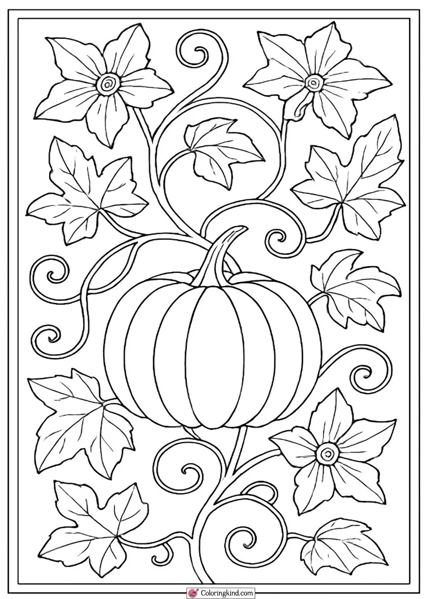 Pumpkin Vine with Flowers and Leaves
