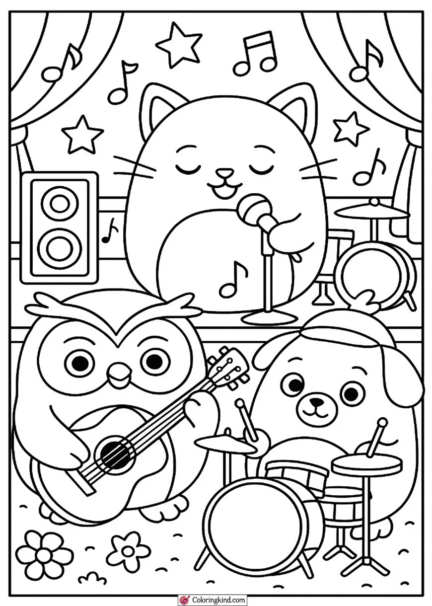 Squishmallow Music Concert
