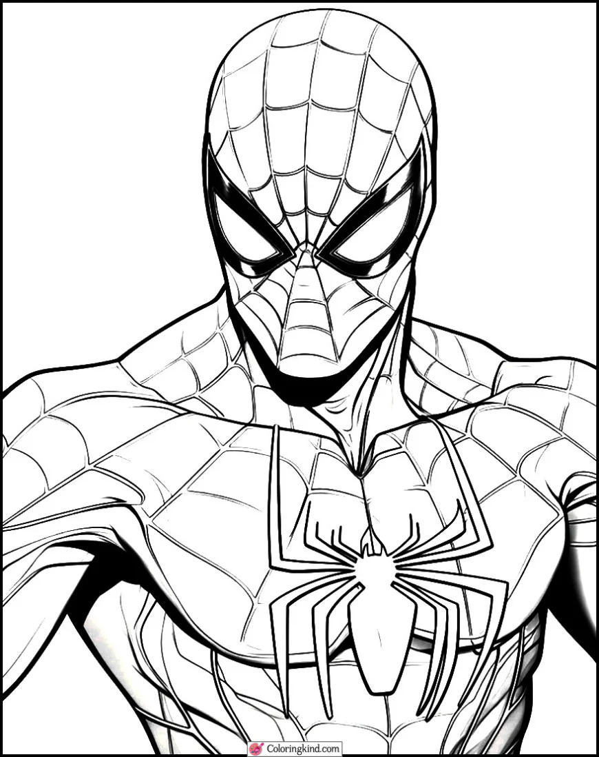 Spider-Man portrait