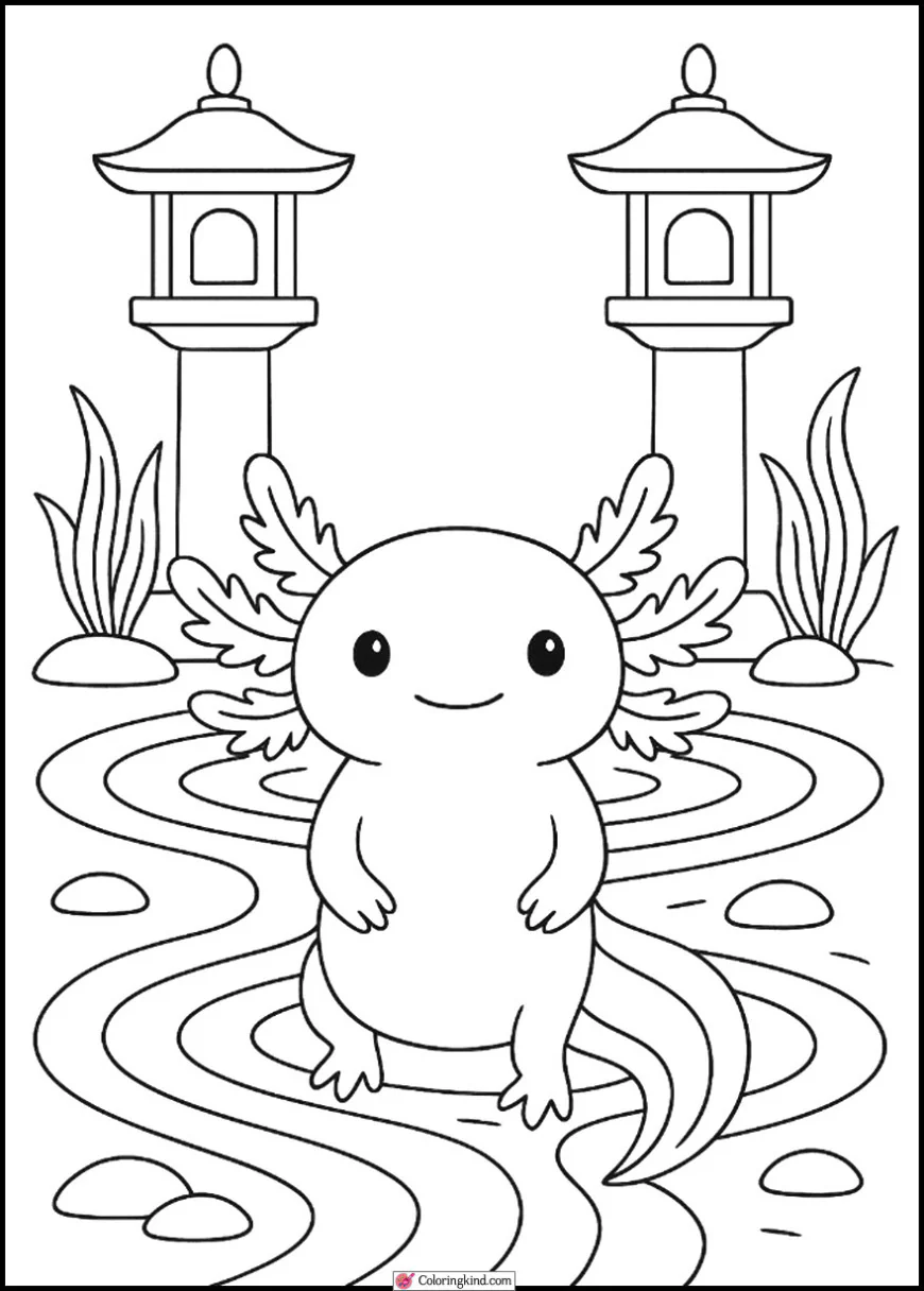 Axolotl in Zen Garden
