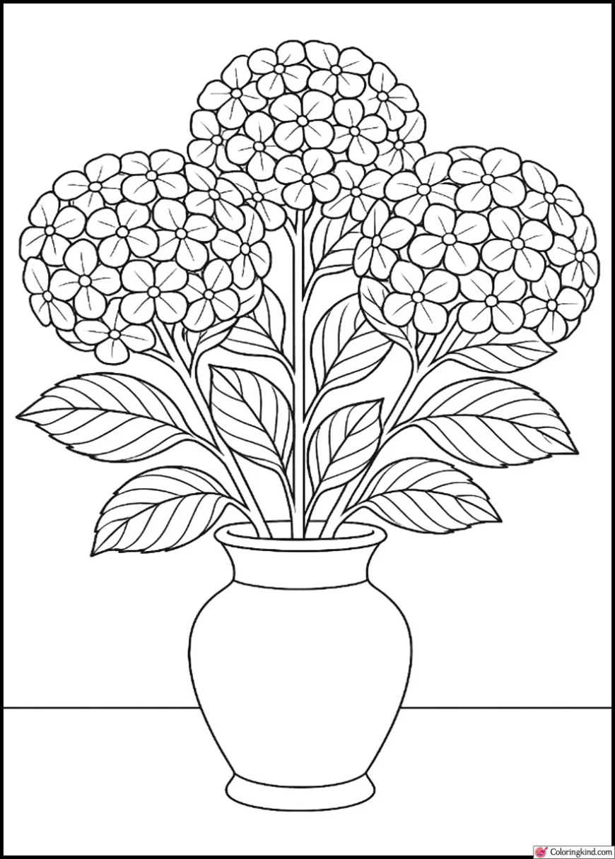 Hydrangea Bouquet on a Table
