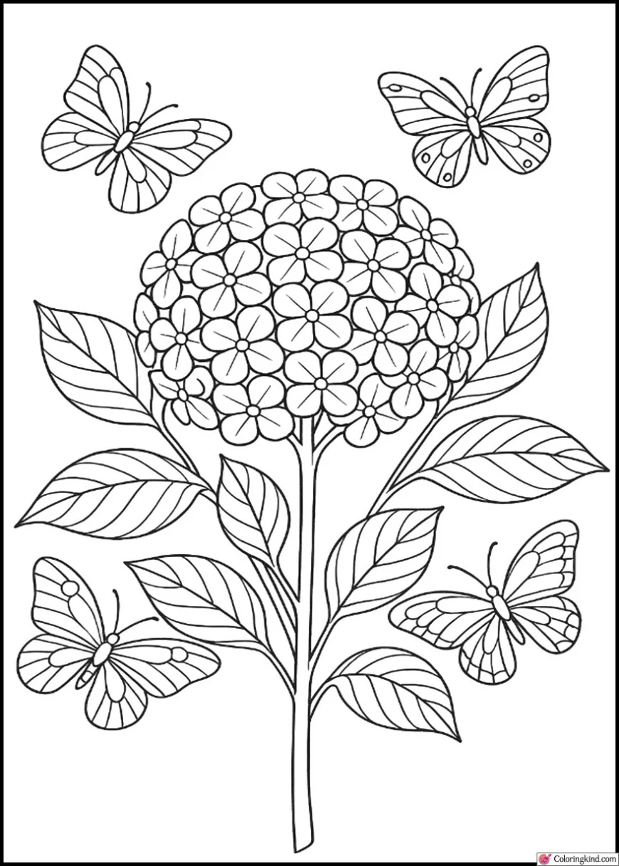 Hydrangea with Butterflies Around