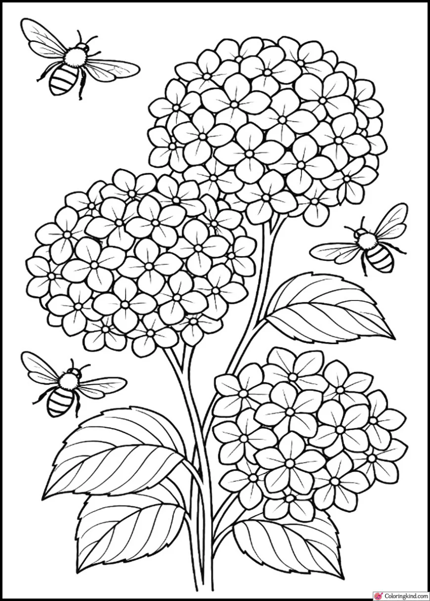 Hydrangea with Honey Bees Buzzing