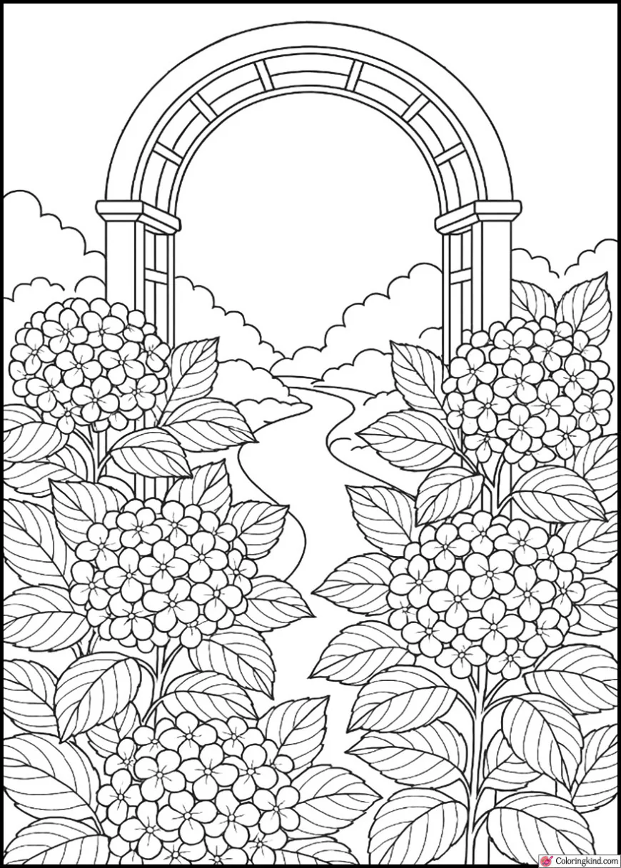 Hydrangeas Under a Garden Arch