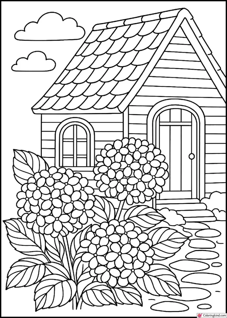 Hydrangea Bush Beside a Cottage