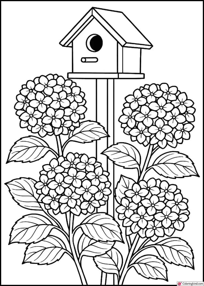 Hydrangea Hedge and Birdhouse