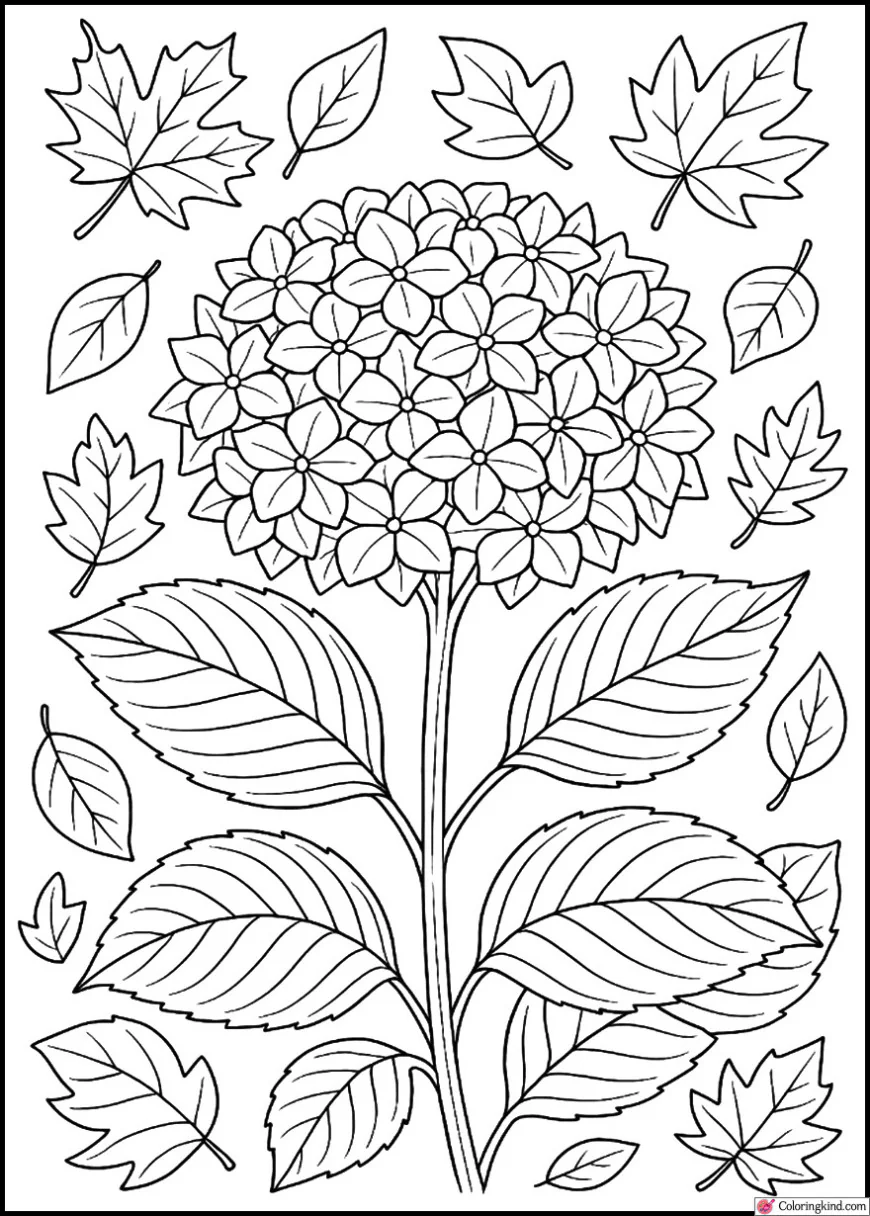 Hydrangea with Autumn Leaves