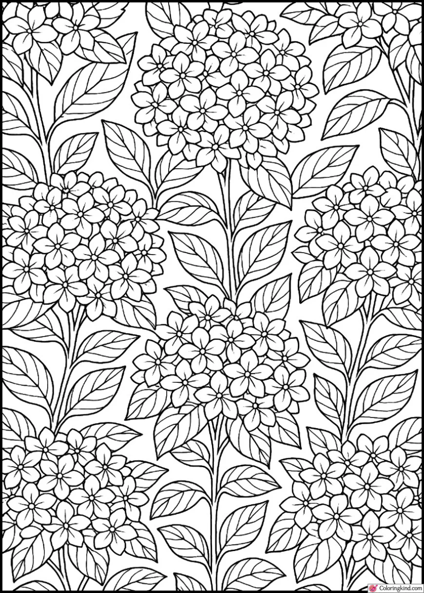 Repeating Hydrangea Flower Pattern
